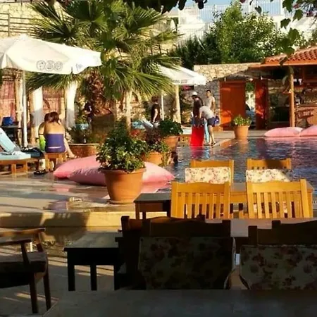 Kaktus * Kaş