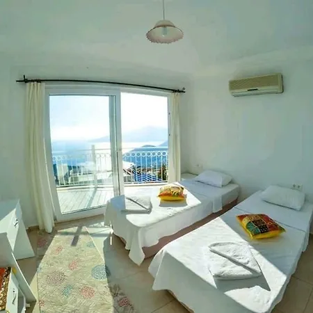Kaktus * Kaş