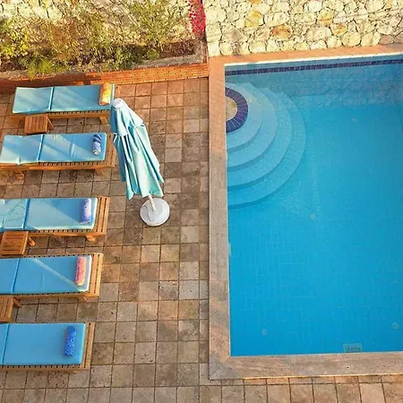 Kaktus Kaş